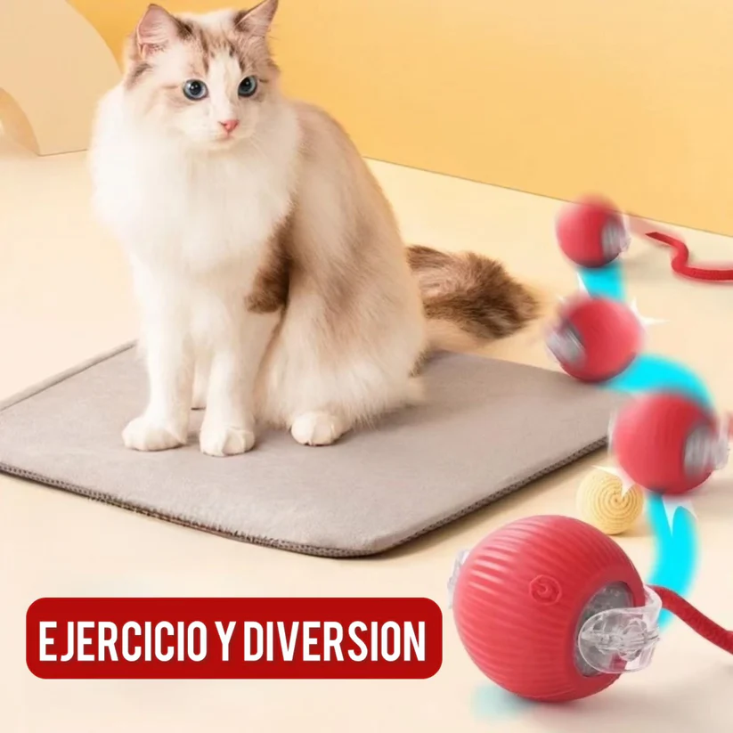 auto draft auto draft